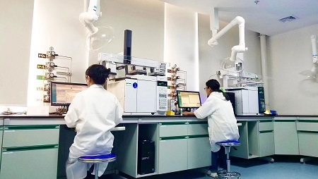 掌上长沙2.jpg 掌上长沙2.jpg